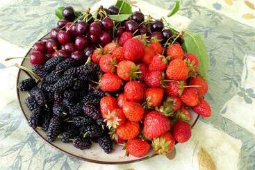 تختخواب و صبحانه Green Stone Boutique