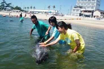 Ryokan Himakajima Isuzukan