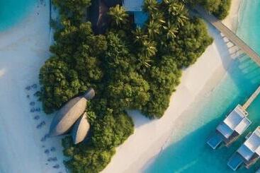 استراحتگاه  dhigali Maldives   Premium All Inclusive