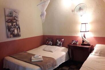 هاستل Viavia Leon