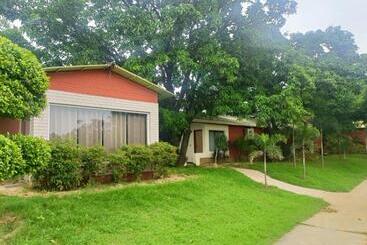 The Dream Forest Resort