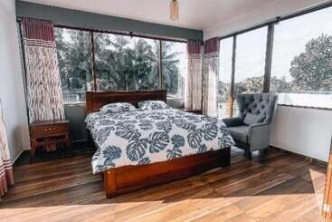 بنسيون The Elegance