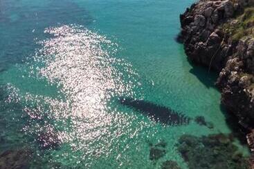 Pensjonat La Dormeuse