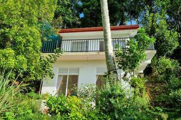 Szálló Squirrel S Nest