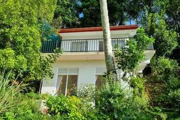 Alberg Squirrel S Nest