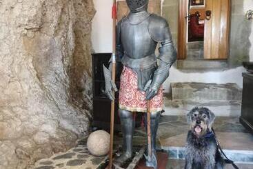 تختخواب و صبحانه Burg Hermannstein Queens Room