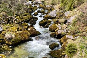 Fenix Hall Boutique Hotel Hallstatt