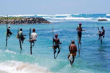 בית מלון כפרי Ging View Villa