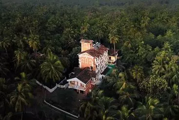 Hotell Treehouse Nova