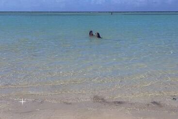 ホテル Costa Linda Beach Boca Chica