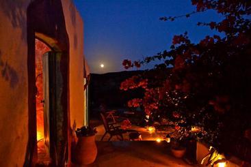 تختخواب و صبحانه Poecylia