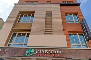Hotel Pine Tree Boutique
