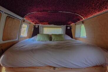 هاستل Chili Kiwi Lakefront Backpackers