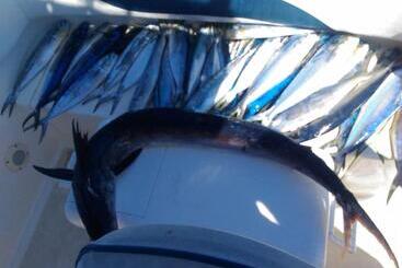 Bed and Breakfast Palazzo Santa Rosalia