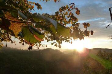B&b Al Giardino Dei Mandorli