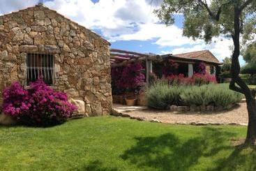 Bed and Breakfast Albero Capovolto