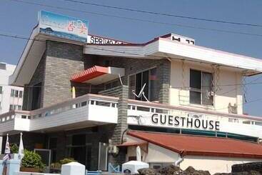 Springflower Guesthouse   Hostel