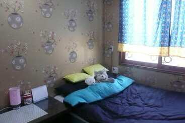 Springflower Guesthouse   Hostel