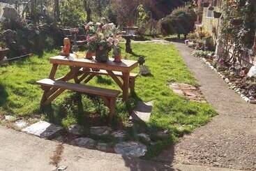 Bed and Breakfast Scott Creek Farm