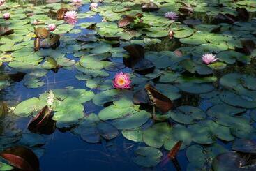 בית מלון כפרי Log Inn Bonners Ferry