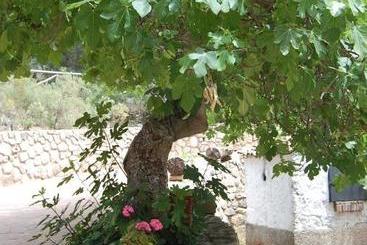 ユースホステル El Cantalar