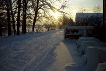 Hotel Gasthaus Mooshäusl