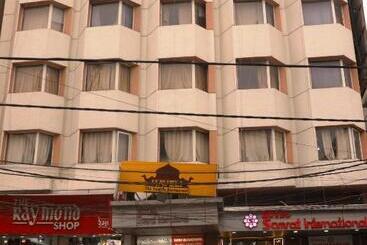 酒店 Samrat International