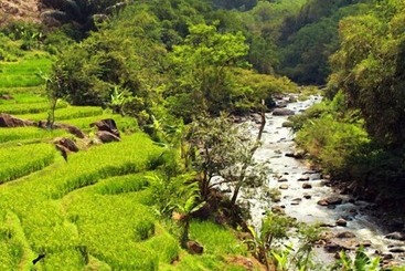 בית מלון כפרי Driam Riverside Resort