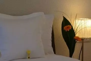 Hotel Alpen-appartements Zürcher