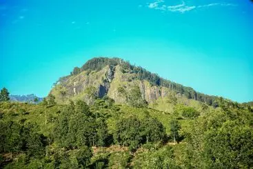 Hotel 98 Acres Resort & Spa