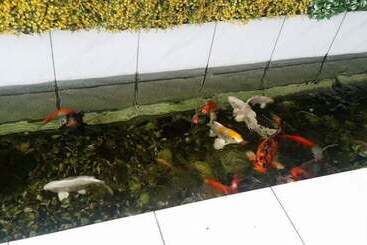 فندق The Garden Inn