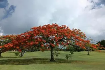 هتل Saipan Vegas Resort