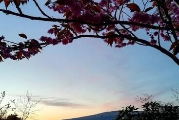 Craignure Bunkhouse  Hostel