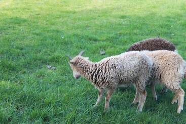 پانسیون The Southwold Guest House