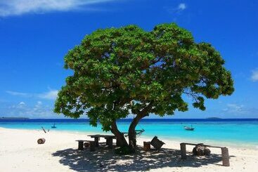 پانسیون Hanifaru Transit Inn