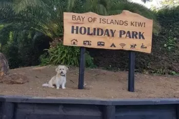هتل Bay Of Islands Holiday Park
