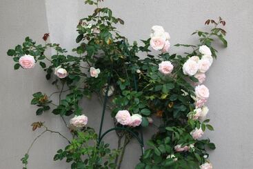 Logis Hotel Restaurant Le Relais D Aligre