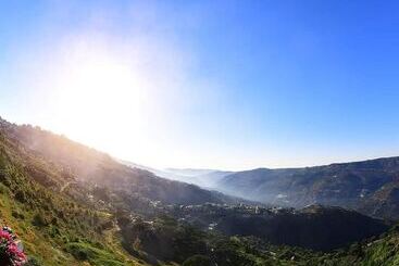 هتل Cherry Blossom Boutique