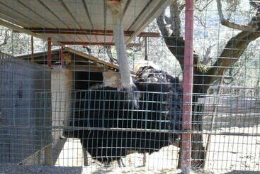 Hotelli Agriturismo La Chiana