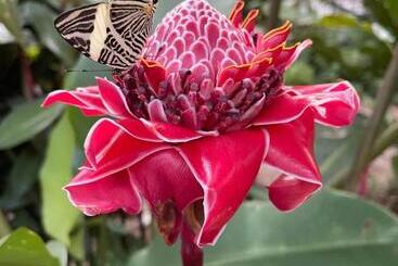 بنسيون Pousada Horizonte Azul
