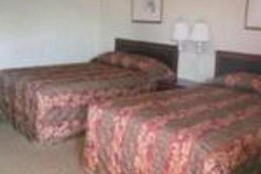 ユースホステル Wedgewood Motor Inn