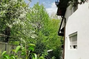 Pensão Casa File De Poveste