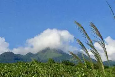 Aparthotel Résidence Paradis Tropical