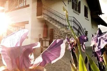 ホテル Agriturismo Alpenvidehof