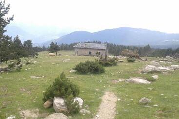 Pensiune Fonda Domingo