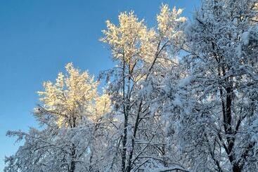 Pensjonat Birutes Apartments