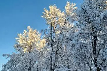 Pensjonat Birutes Apartments