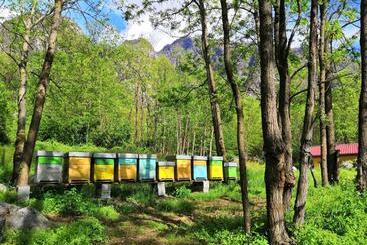 ホテル Agriturismo Val Codera