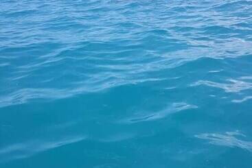 Majatalo Waikiki Guest House