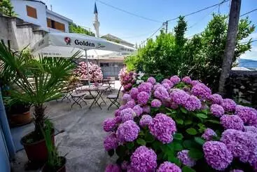 Hostel Palorto